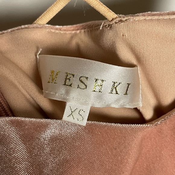 Light Pink Velvet Mini Dress by Meshki - Picture 5 of 5